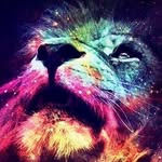 DANIELMACINNES - @daniel_macinnes - Instagram