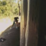 Daniel Mack - @daniel_mackintosh12 - Instagram