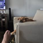 Daniel Macke - @danielmacke - Instagram