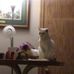 Daniel Macke - Facebook