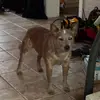 Daniel Macomber - @daniel.macomber6 - TikTok