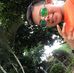 Daniel Macias - Facebook
