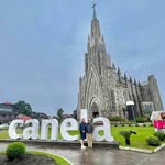 Daniel Madalena Lourenço - @m.madalena.daniel - Instagram