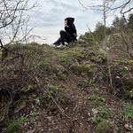 Dániel Madarász - @daniel.madarasz.714 - Instagram