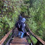 Daniel Madariaga - @daniel.madariaga02 - Instagram