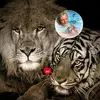 Daniel Madelpech33 - @daniel.madelpech33 - TikTok