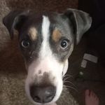 Daniel Madewell - @daniel_brurst_best - Instagram