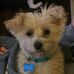 Daniel Paul Madewell - Facebook
