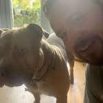 Daniel Madine - @danmad01 - Instagram