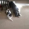 danielmadinger - @danielmadinger - TikTok