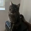 Daniel Madlo - @daniel.madlo - TikTok