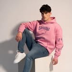Daniel Maffei - @daniel_maffei_17 - Instagram