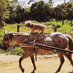 daniel.maffei.925 - @dan170481 - Instagram