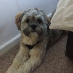 Daniel Magill - @hananchfjsjdfchskd - Instagram
