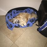Daniel Magill - @danielfps2018 - Instagram