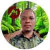 DKB @ MAGYAR IMMIGRATION - @danielmagyar.immi - TikTok