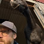 Daniel Mähler Vesterlund - Facebook