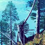 Daniel Mallon - @mallon4575 - Instagram