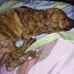 Daniel Mallon - Facebook