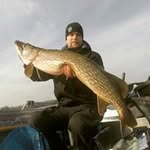 Daniel Malm - @_sipuli - Instagram