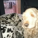 Daniel Malm - @daniel_malm__ - Instagram