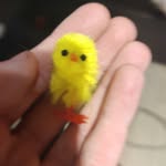 fank - @malochadaniel03 - Instagram