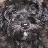Daniel Maloney886 - @danielmaloney886 - TikTok