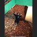 Daniel Maloney - Facebook