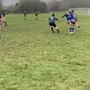 Daniel Maloney - @daniel.maloney7 - TikTok