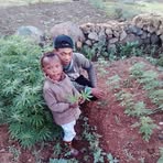 Daniel Maltese - Facebook