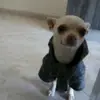 Daniele Maltese - @danielemaltese0 - TikTok
