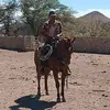Daniel Maltos - @danielmaltos408 - TikTok
