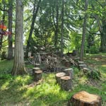 Daniel Maltz - @fullcircleforestry - Instagram