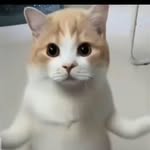 ロメロ ダニエル - @danielmanalacromero - Instagram