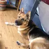 DANIEL MANCERA - @daniel.mancera19 - TikTok