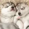Daniel Mancera - @daniel.mancera8 - TikTok