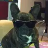 Daniel Manchado - @daniel.manchado - TikTok