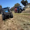 Daniel Mandaradoni - @danielmandaradoni - TikTok