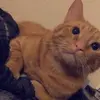 Daniel Mandina - @daniel.mandina - TikTok