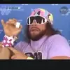 danielmandojr - @danielmandojr - TikTok