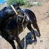 Daniel Mandujano - @daniel.mandujano35 - TikTok