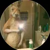 Daniel Mandujano - @daniel.mandujano346 - TikTok