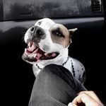 Daniel Mandujano Saldaña - @danielmandujano - Instagram