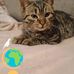 Daniel Malski - Facebook