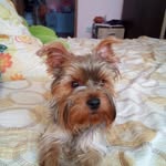Daniel Manescu - @daniel.manescu1 - Instagram