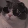 danielmanfre - @danielmanfre23 - TikTok