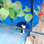 daniel.mangin - @daniel.1979.mangin - Instagram