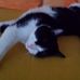 Daniela Mangold - Facebook