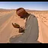 Daniel Manier - @daniel.manier0 - TikTok