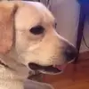 danielamanieri1 - @danielamanieri1 - TikTok